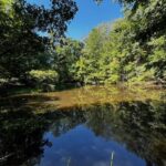 Property photo for land for sale in Pittsylvania County Virginia