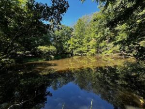 Property photo for land for sale in Pittsylvania County Virginia