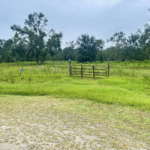 Property photo for land for sale in Madison County Florida