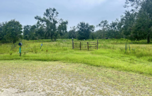 Property photo for land for sale in Madison County Florida