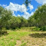 Property photo for land for sale in Bee County Texas