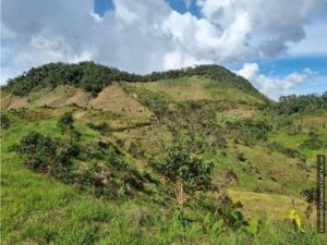 Property photo for land for sale in  County Colombia