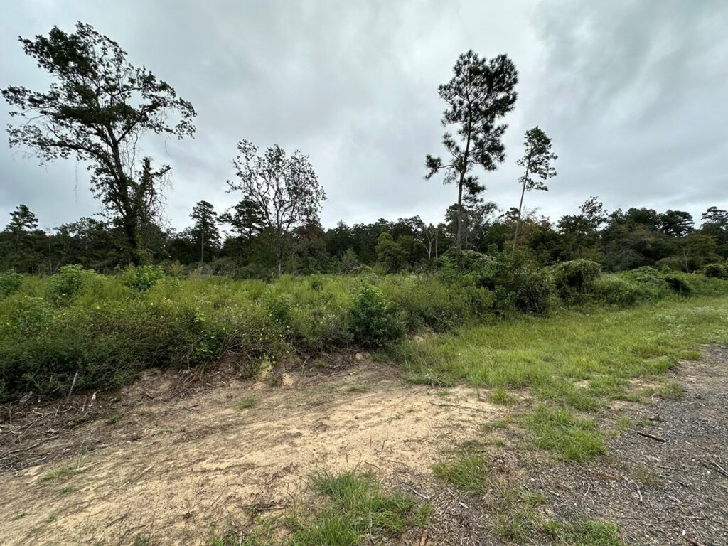 Property photo for land for sale in Anderson County Texas