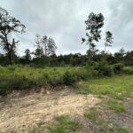 Property photo for land for sale in Anderson County Texas