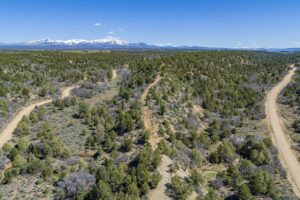 Property photo for land for sale in La Plata County Colorado