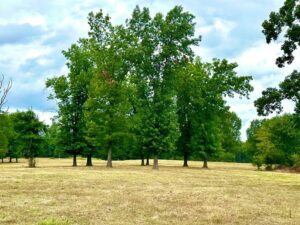 Property photo for land for sale in Cedar County Missouri