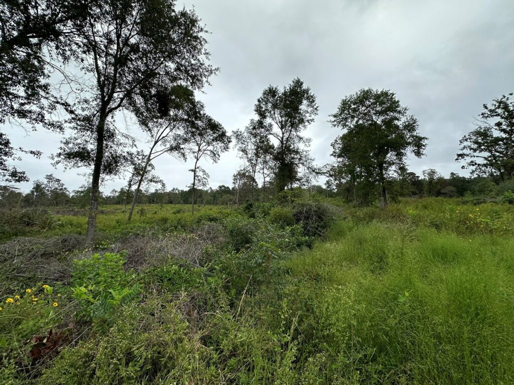 Property photo for land for sale in Anderson County Texas