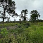 Property photo for land for sale in Anderson County Texas