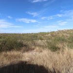 Property photo for land for sale in Cochise County Arizona