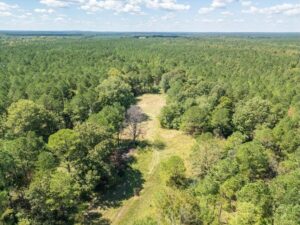 Property photo for land for sale in Oktibbeha County Mississippi