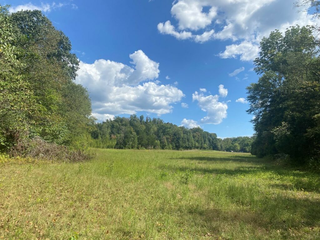 Property photo for land for sale in Wayne County Tennessee