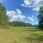 Property photo for land for sale in Wayne County Tennessee