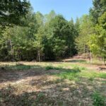 Property photo for land for sale in Hardin County Tennessee