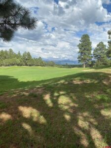 Property photo for land for sale in Ouray County Colorado