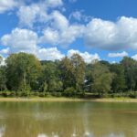 Property photo for land for sale in Hardin County Tennessee