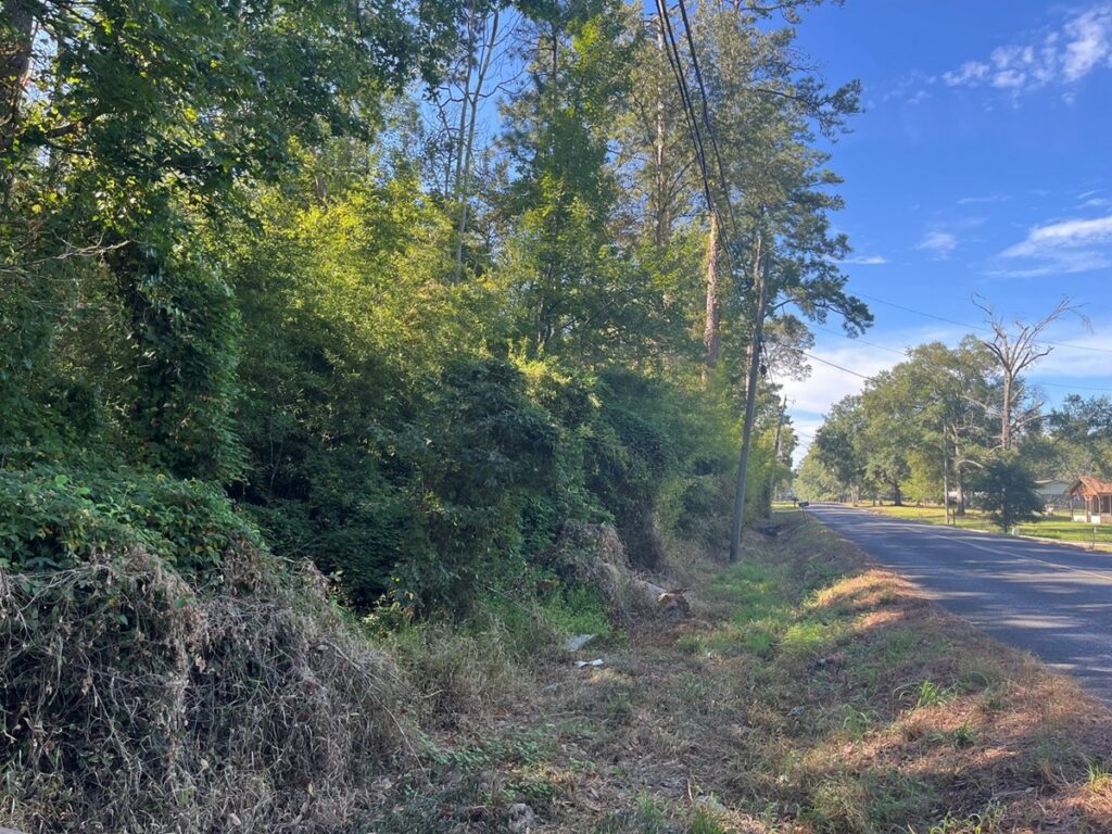 Property photo for land for sale in Allen County Louisiana