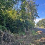 Property photo for land for sale in Allen County Louisiana