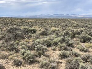 Property photo for land for sale in Elko County Nevada