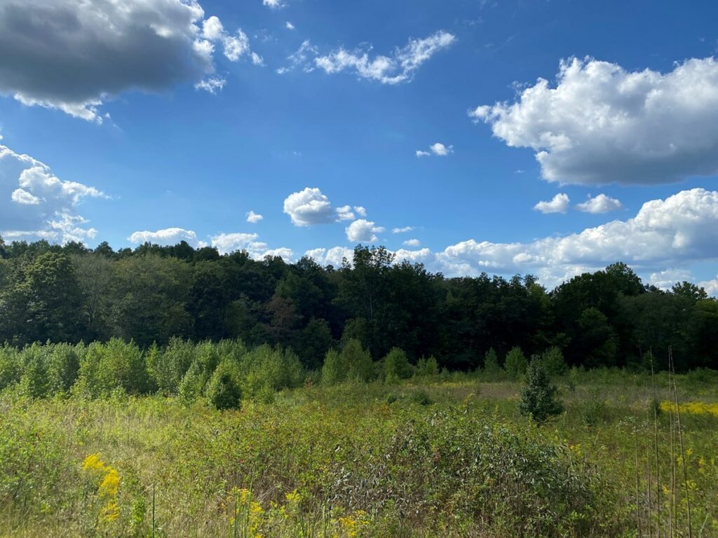 Property photo for land for sale in Wayne County Tennessee