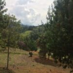 Property photo for land for sale in  County Colombia