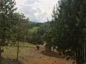 Property photo for land for sale in  County Colombia