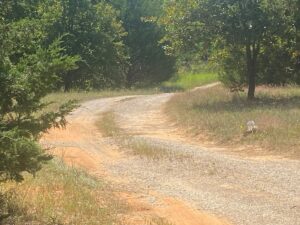 Property photo for land for sale in Pottawatomie County Oklahoma