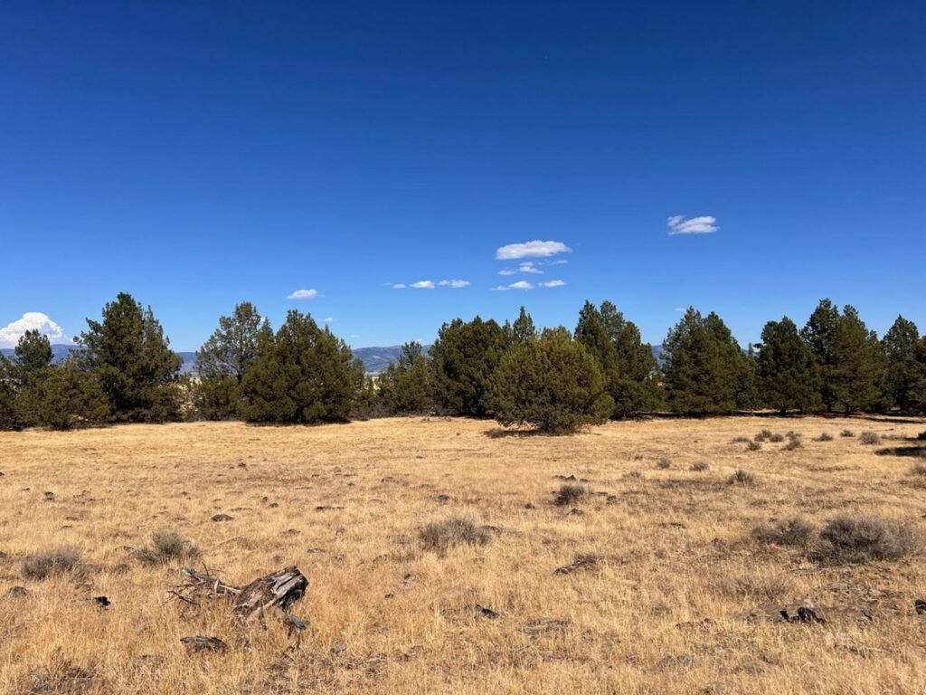 Property photo for land for sale in Modoc County California