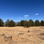 Property photo for land for sale in Modoc County California