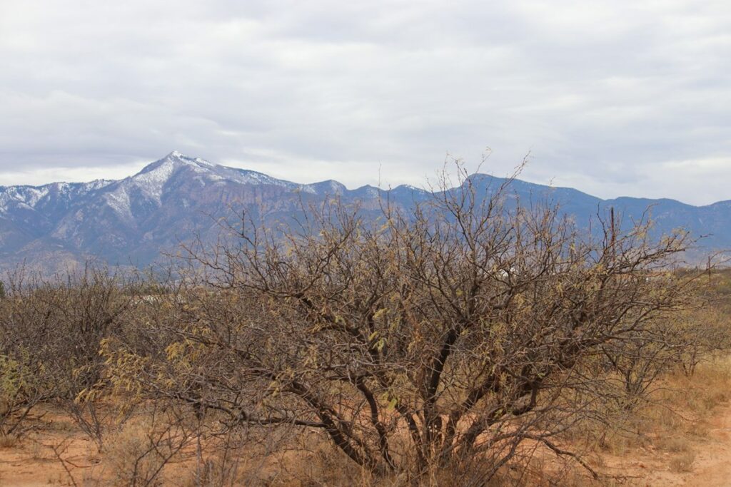 Property photo for land for sale in Cochise County Arizona