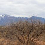 Property photo for land for sale in Cochise County Arizona