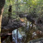 Property photo for land for sale in Allen County Louisiana