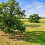 Property photo for land for sale in Parker County Texas