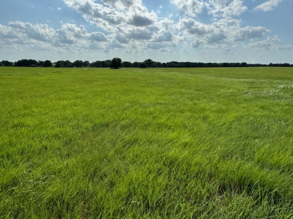 Property photo for land for sale in Garvin County Oklahoma