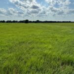 Property photo for land for sale in Garvin County Oklahoma