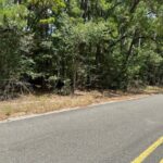 Property photo for land for sale in Allen County Louisiana