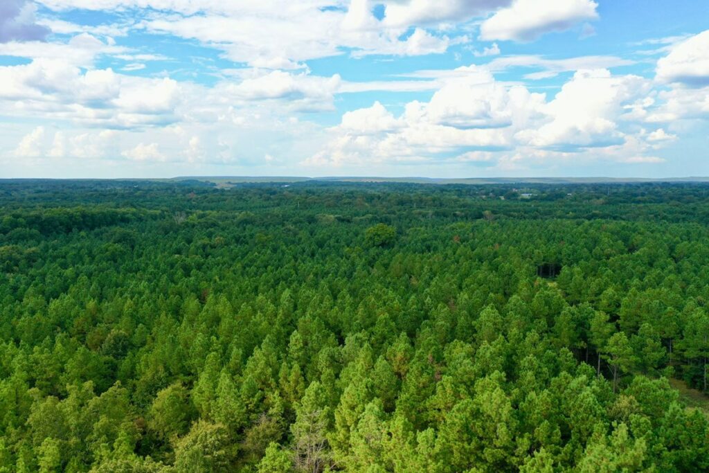 Property photo for land for sale in Pushmataha County Oklahoma