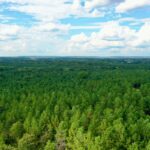 Property photo for land for sale in Pushmataha County Oklahoma