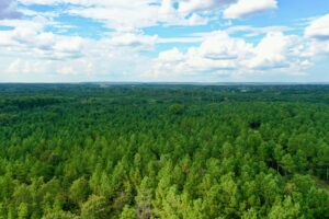 Property photo for land for sale in Pushmataha County Oklahoma