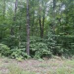 Property photo for land for sale in Mecklenburg County Virginia