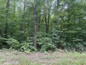 Property photo for land for sale in Mecklenburg County Virginia