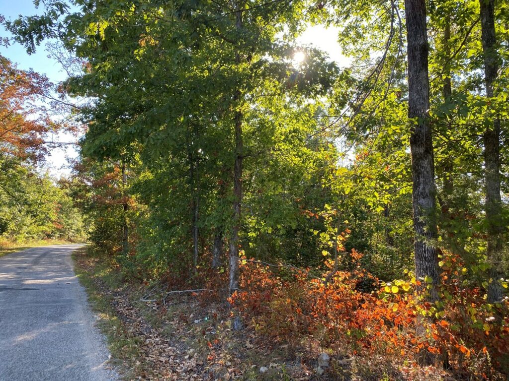 Property photo for land for sale in Wayne County Tennessee