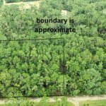 Property photo for land for sale in Lafayette County Florida