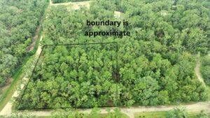 Property photo for land for sale in Lafayette County Florida