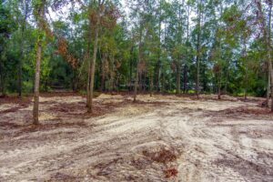 Property photo for land for sale in Hamilton County Florida