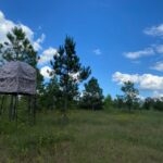 Property photo for land for sale in Wayne County Tennessee