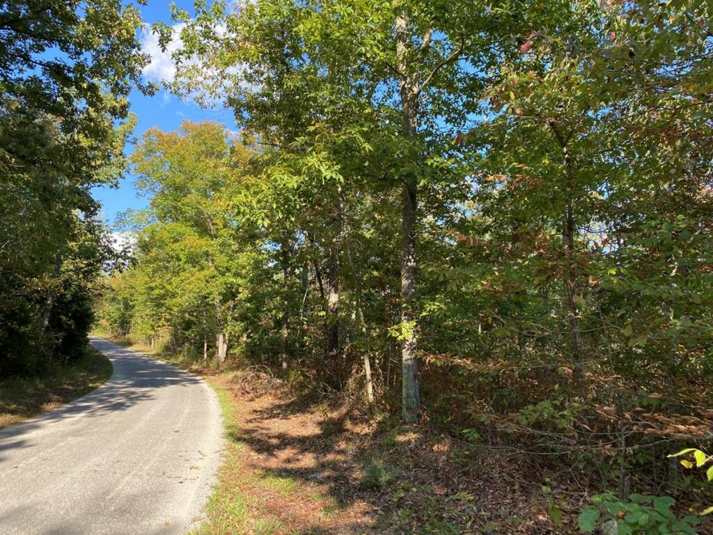 Property photo for land for sale in Wayne County Tennessee