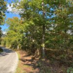 Property photo for land for sale in Wayne County Tennessee