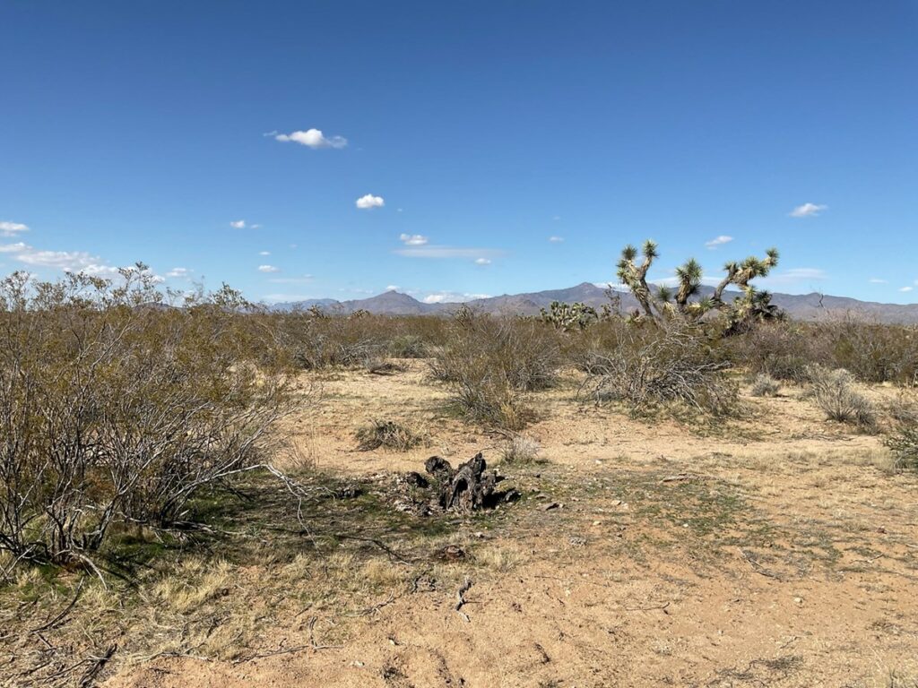 Property photo for land for sale in Mohave County Arizona