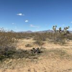 Property photo for land for sale in Mohave County Arizona