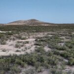 Property photo for land for sale in Pecos County Texas